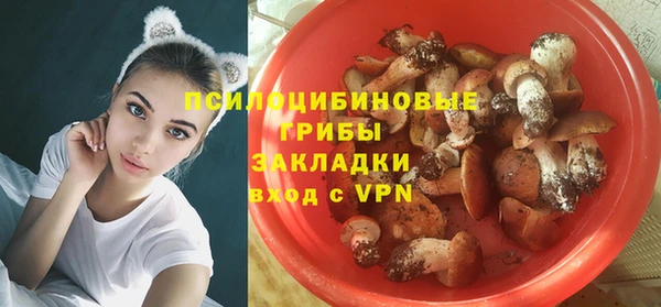 спайс Аркадак